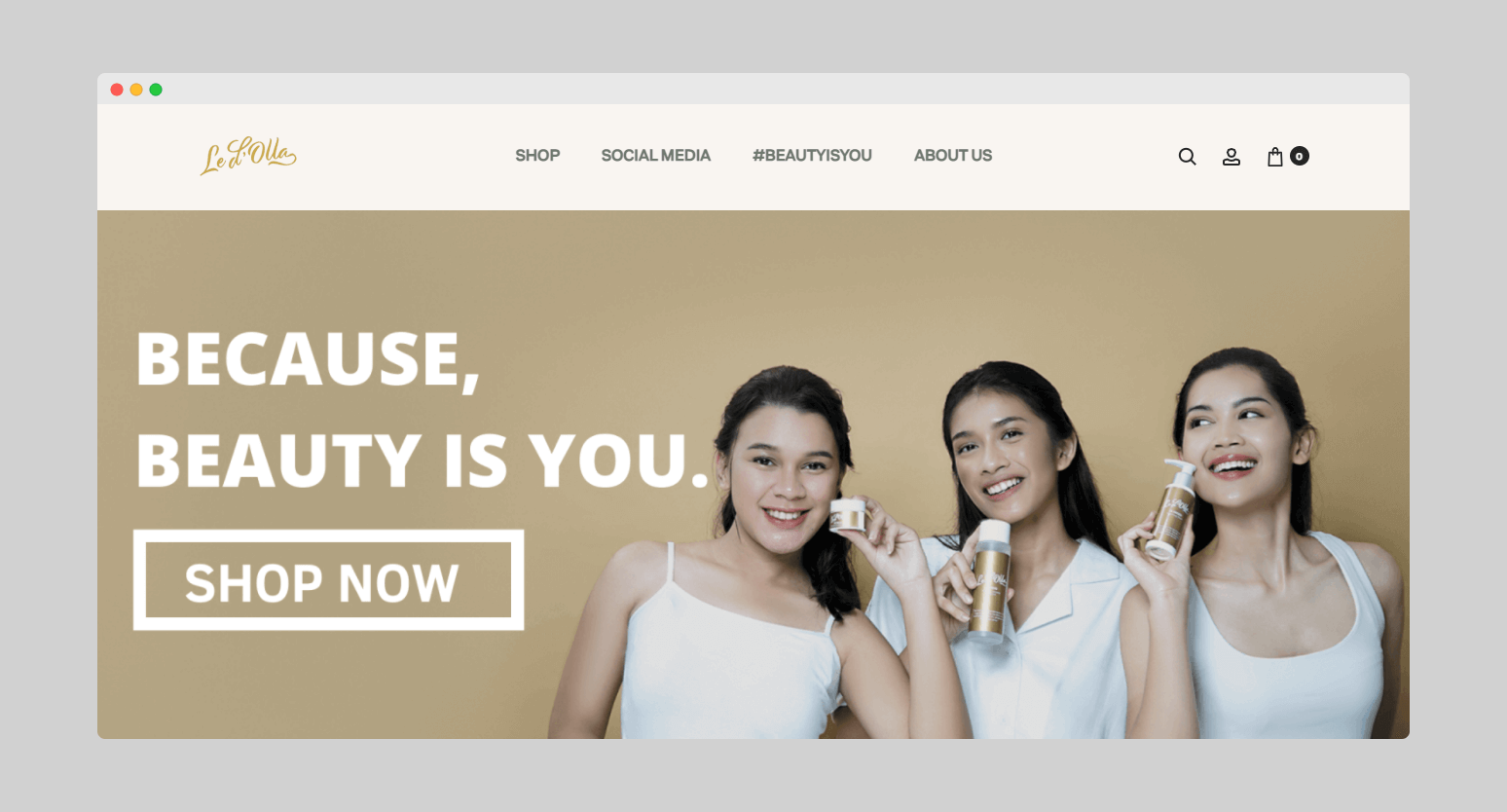 Website Klien Ledolla